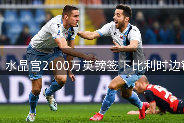 水晶宫2100万英镑签下比利时边锋哈莱利