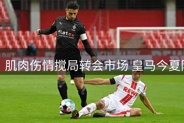 肌肉伤情搅局转会市场 皇马今夏防线补强计划受阻