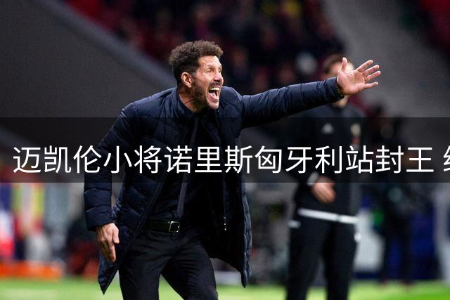 迈凯伦小将诺里斯匈牙利站封王 维斯塔潘屈居亚军法拉利双车跻身前五